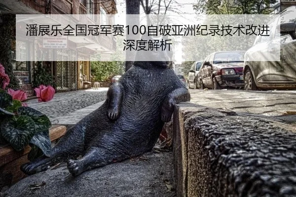 潘展乐全国冠军赛100自破亚洲纪录技术改进深度解析