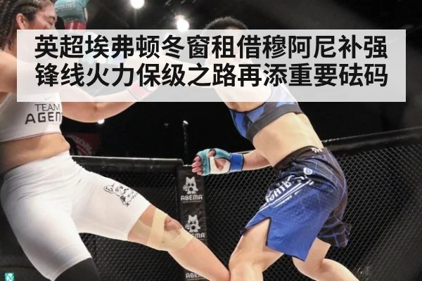 英超埃弗顿冬窗租借穆阿尼补强锋线火力保级之路再添重要砝码