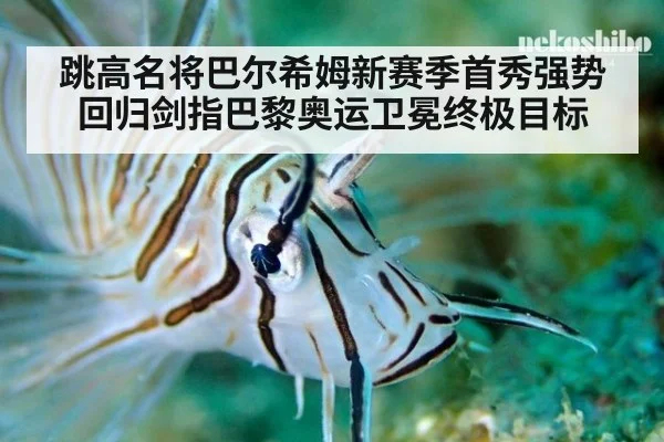 跳高名将巴尔希姆新赛季首秀强势回归剑指巴黎奥运卫冕终极目标